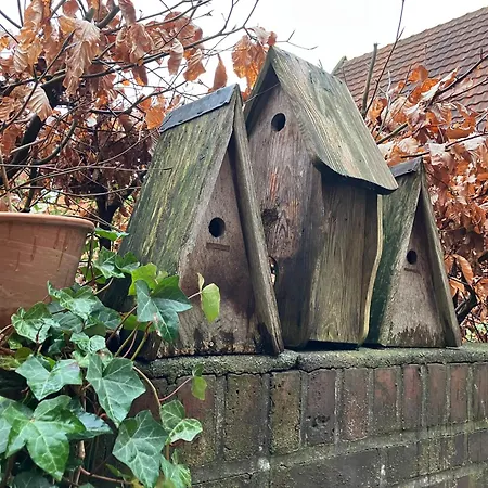 Freiheitacht Apartment