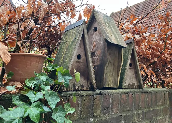 Freiheitacht Apartment