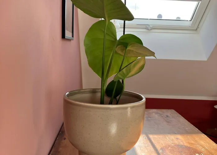 Freiheitacht Raesfeld